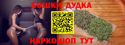 гашик Моздок
