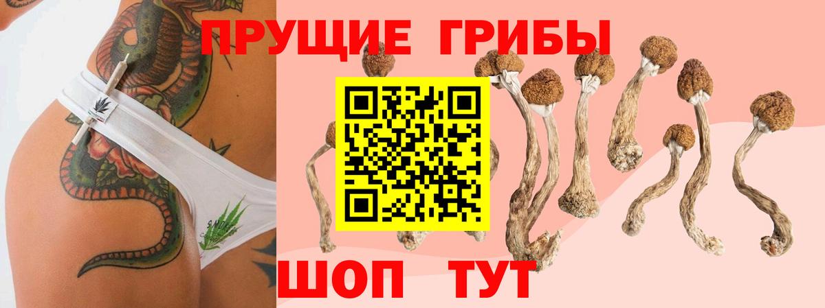 Галлюциногенные грибы прущие грибы  Вход с VPN  Псилоцибиновые грибы Cubensis  Чайковский 