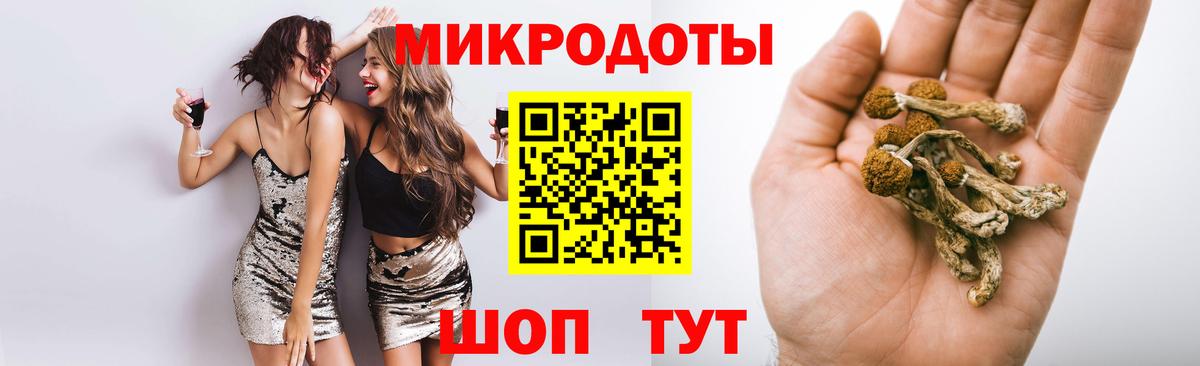 Галлюциногенные грибы мицелий Чайковский