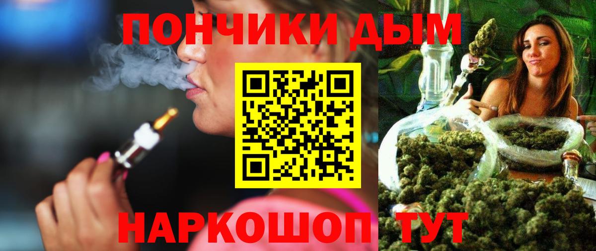 Каннабис индика Чайковский